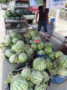 商洛网红吃瓜事件