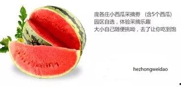 郑州吃瓜中心网站官网,揭秘郑州美食地图，尽享地方特色佳肴