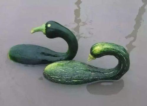 锦州网红一个女的吃瓜,揭秘网络热议背后的真相