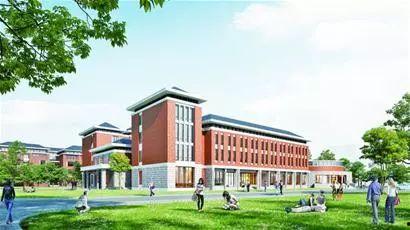 青岛农业大学吃瓜网,校园热点一网打尽