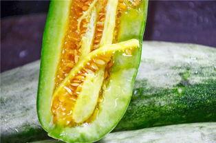 哪个网站可以吃网红的瓜,跟随哪个网站一网打尽热门八卦