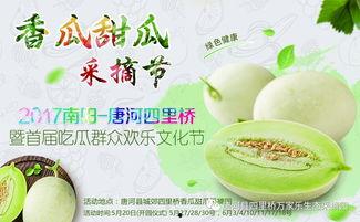 吃瓜网红全套,从全网热议到幕后真相