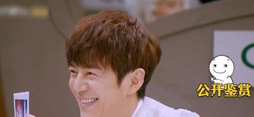 吃瓜网莫里综艺