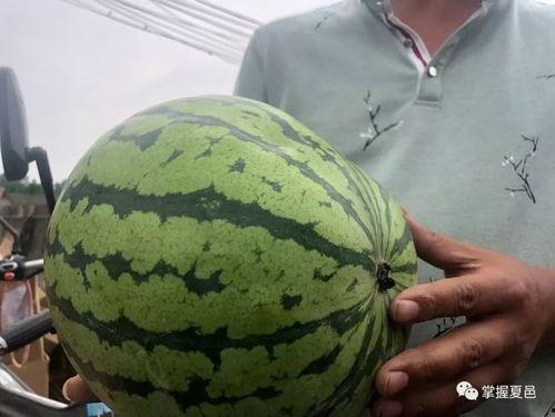 吃瓜胡一天网红,从吃瓜网红到人气明星的蜕变之路