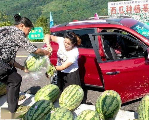 肇庆吃瓜群众网红事件视频,一场网络舆论的风暴与反思