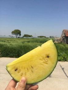 吃瓜网红照片头像高清图,高清头像背后的故事