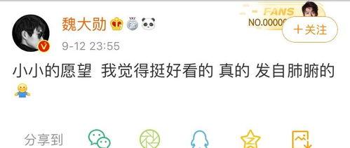 吃瓜惊喜小说百度云网盘,揭秘小说世界里的秘密与惊喜