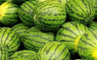 去吃瓜吃大瓜网,吃瓜群众必备的吃大瓜指南